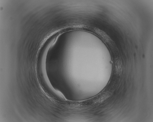 X0000083620728200703121627