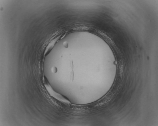 X0000083620729200703121627