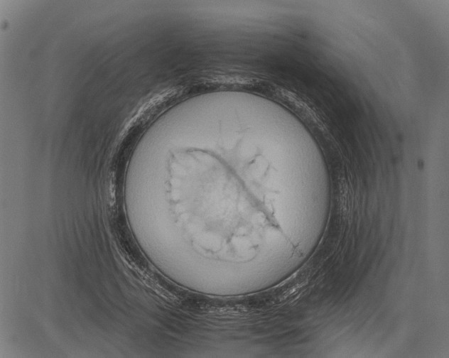 X0000083620731200703121628