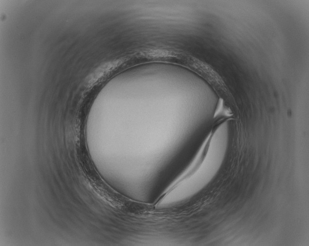 X0000083620732200703121628