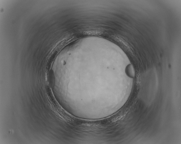 X0000083620733200703121628