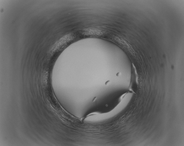 X0000083620735200703121628