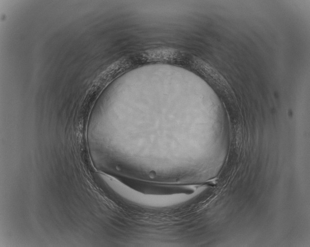 X0000083620737200703121628