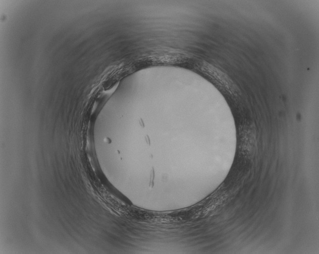 X0000083620738200703121628