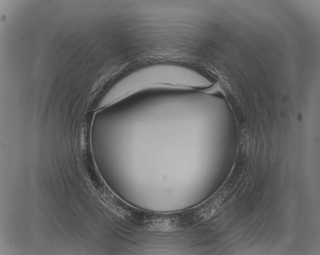 X0000083620740200703121628