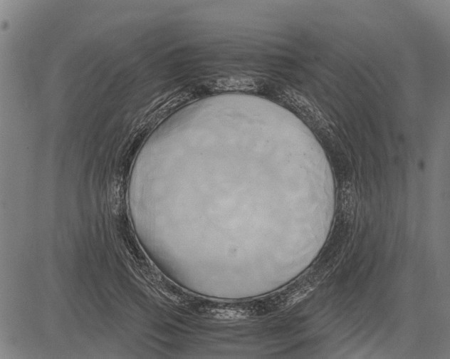 X0000083620741200703121628