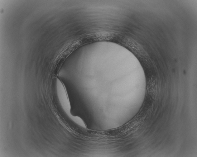 X0000083620742200703121628