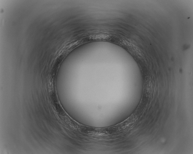 X0000083620743200703121628