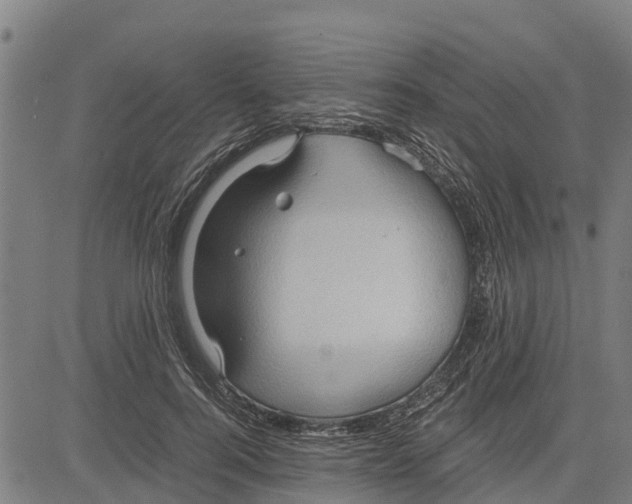 X0000083620744200703121628