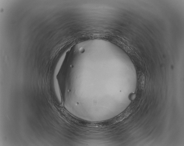 X0000083620746200703121628