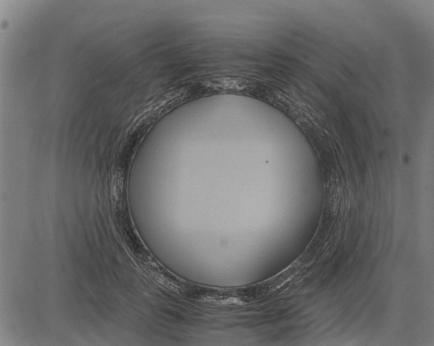 X0000083620747200703121628