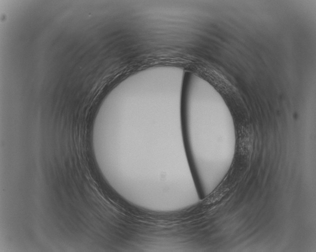 X0000083620748200703121628