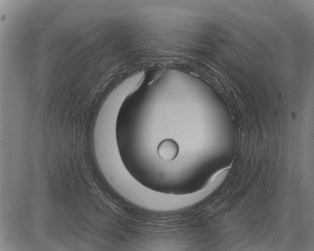 X0000083620750200703121628