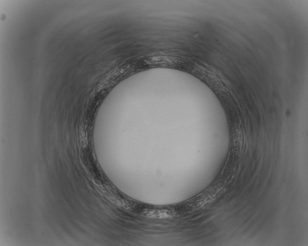 X0000083620751200703121628