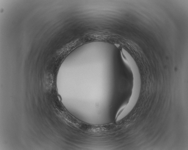 X0000083620752200703121628