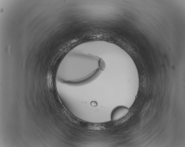 X0000083620754200703121628