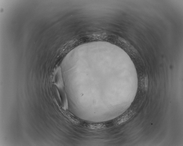 X0000083620757200703121628