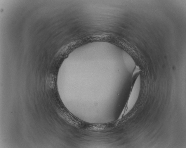 X0000083620758200703121628