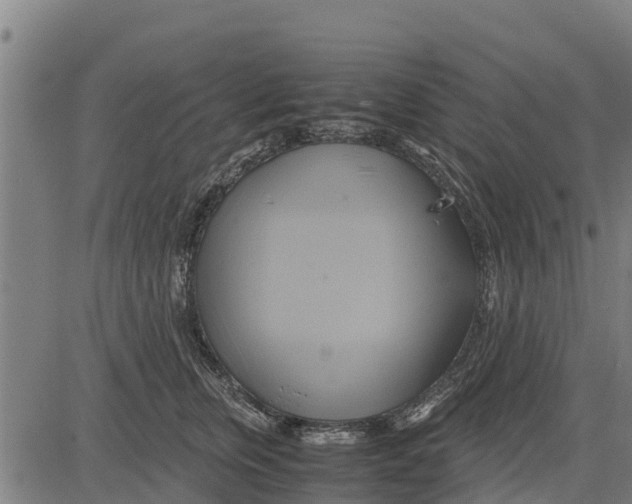 X0000083620759200703121628