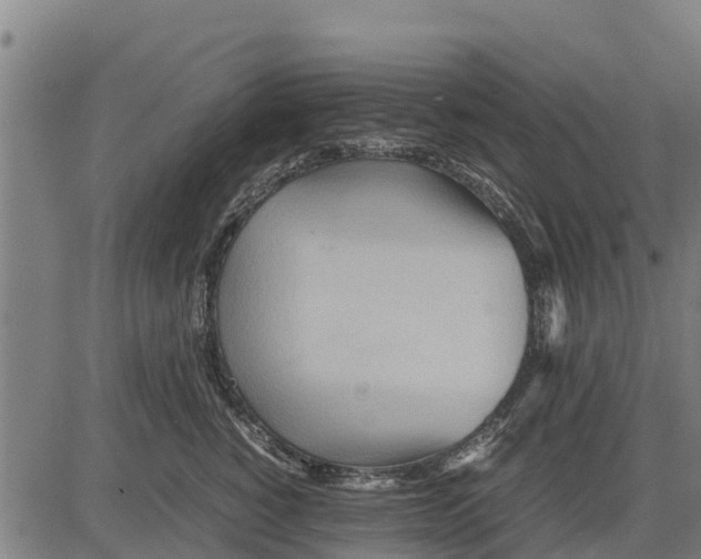 X0000083620760200703121628