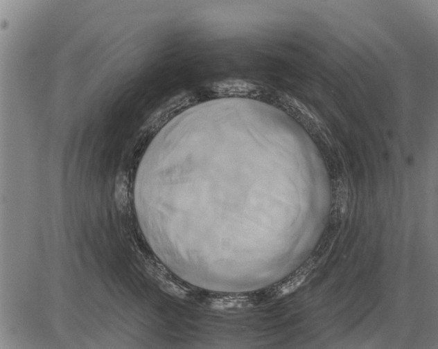 X0000083620761200703121628