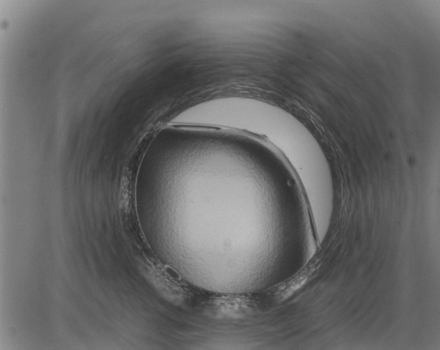 X0000083620762200703121628