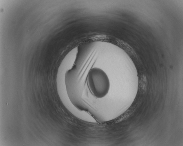 X0000083620763200703121628