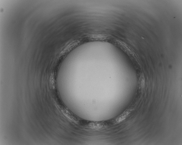 X0000083620764200703121628