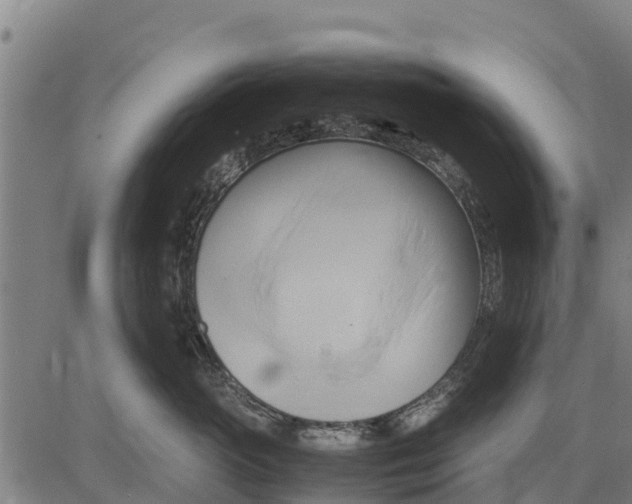 X0000083620765200703121628