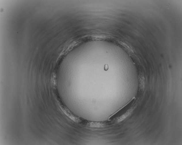 X0000083620766200703121628