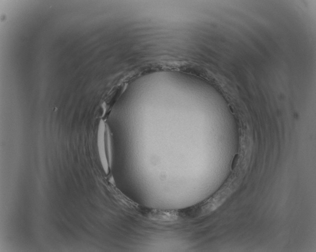 X0000083620768200703121628