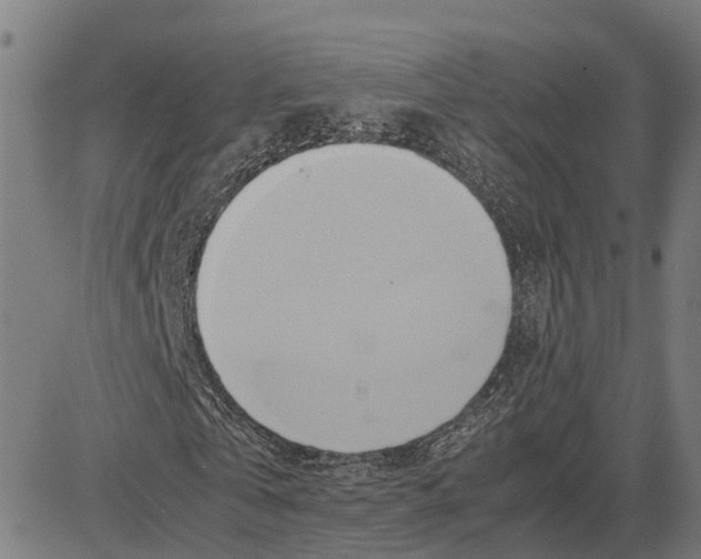 X0000083620769200703121627