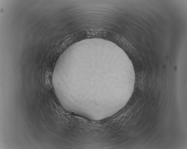 X0000083620770200703121627