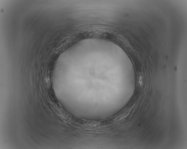 X0000083620771200703121627