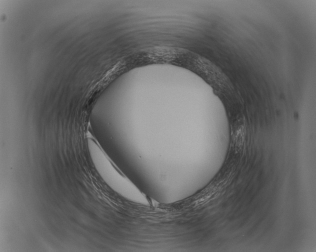 X0000083620772200703121627