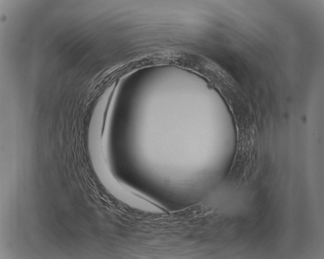 X0000083620773200703121627