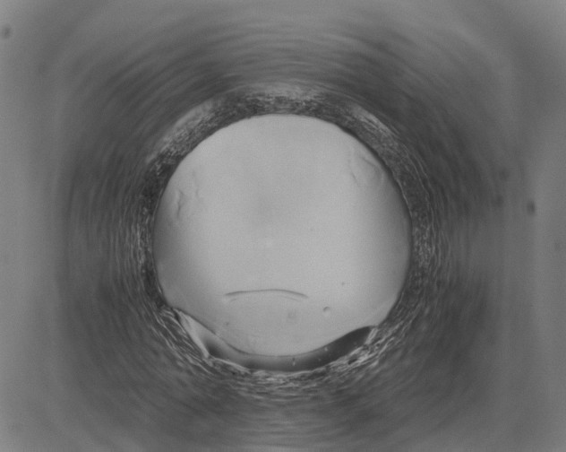 X0000083620774200703121627