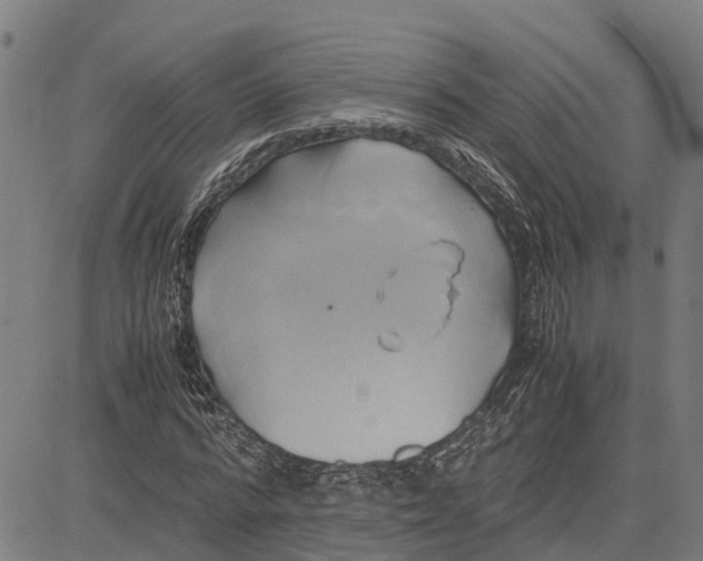 X0000083620776200703121627