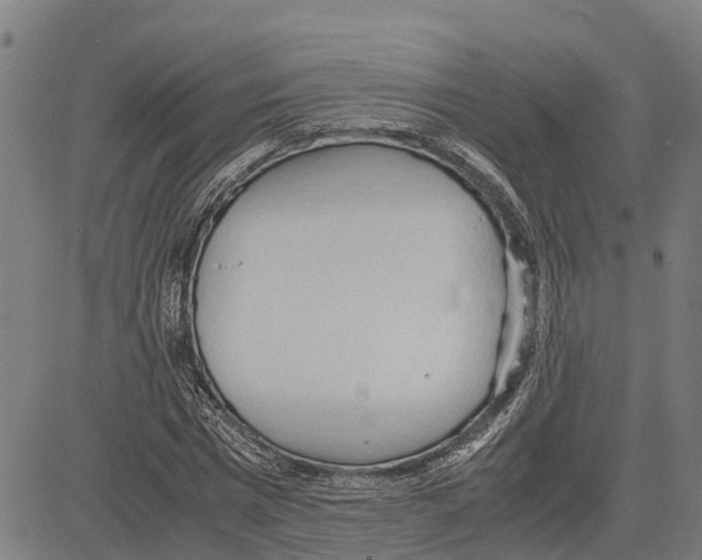 X0000083620777200703121627