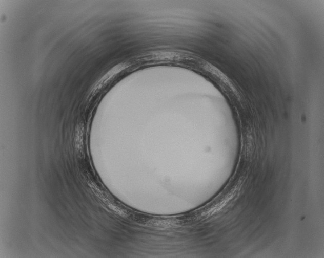 X0000083620778200703121627