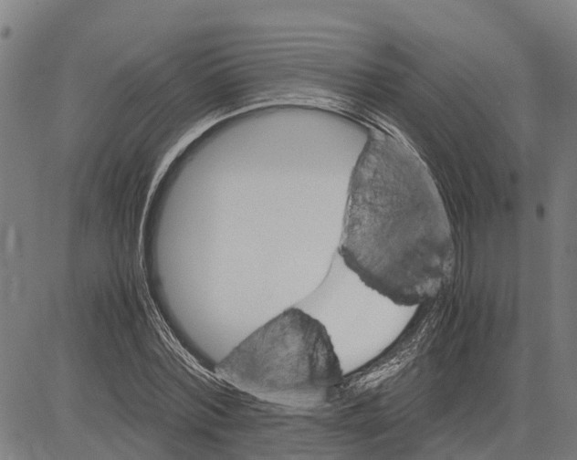 X0000083620780200703121627