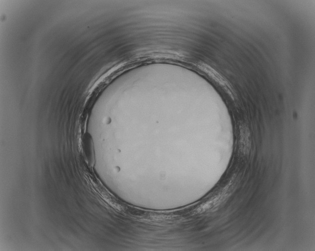 X0000083620782200703121627