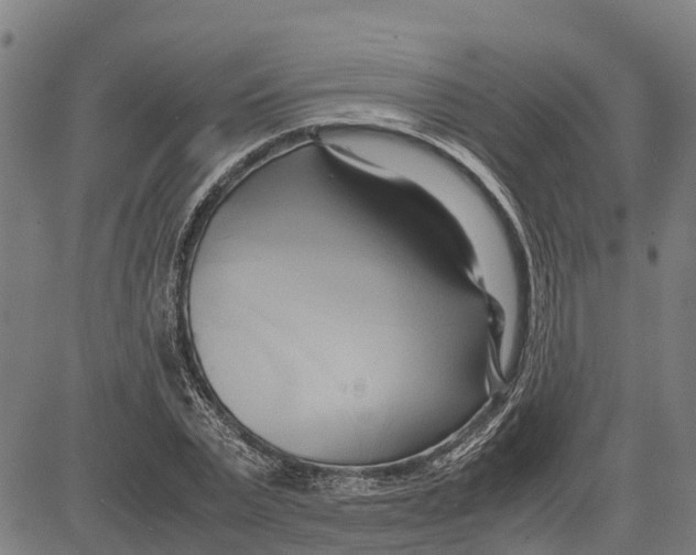 X0000083620783200703121627