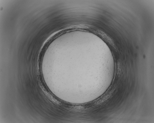 X0000083620784200703121627