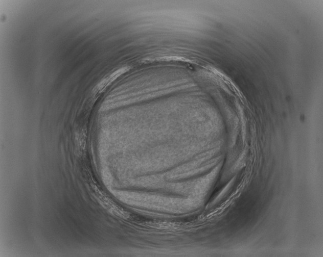 X0000083620785200703121627