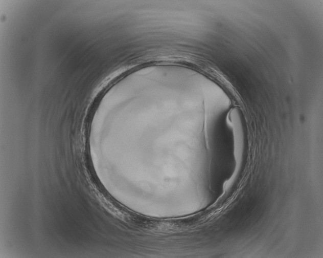 X0000083620787200703121627