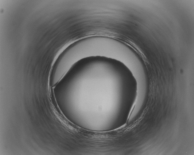 X0000083620788200703121627