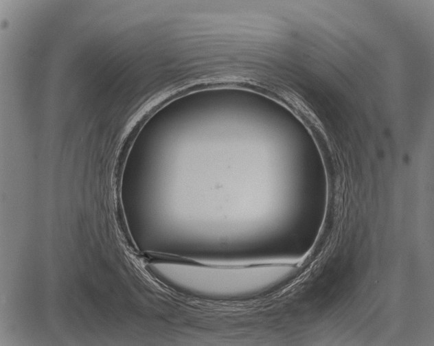 X0000083620789200703121627