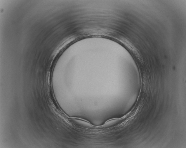 X0000083620790200703121627