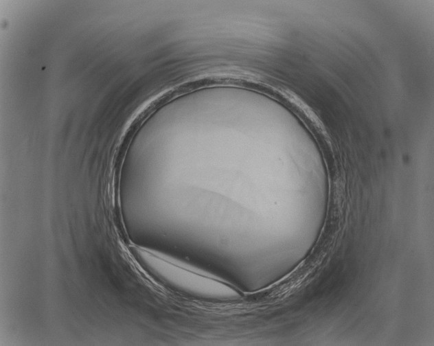 X0000083620791200703121627